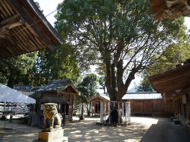 糸島の嵐神社　桜井神社