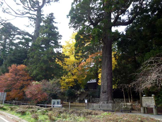 糸島の嵐神社　雷神社