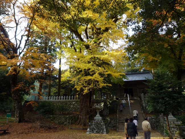 糸島の嵐神社　雷神社