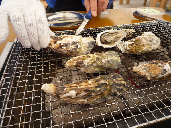 糸島牡蠣小屋は、自分たちで焼いて食べるシステム