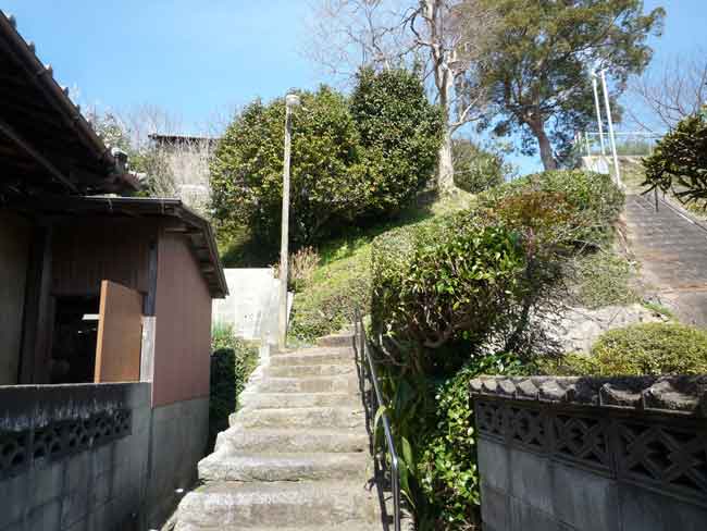 小富士の梅林 浄金寺