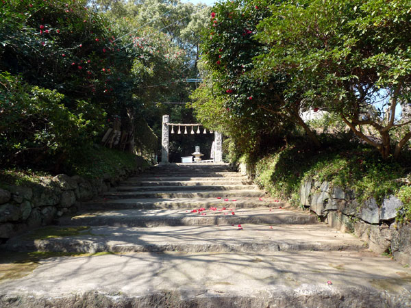 桜井神社の駐車場から、二の鳥居へ向かう道