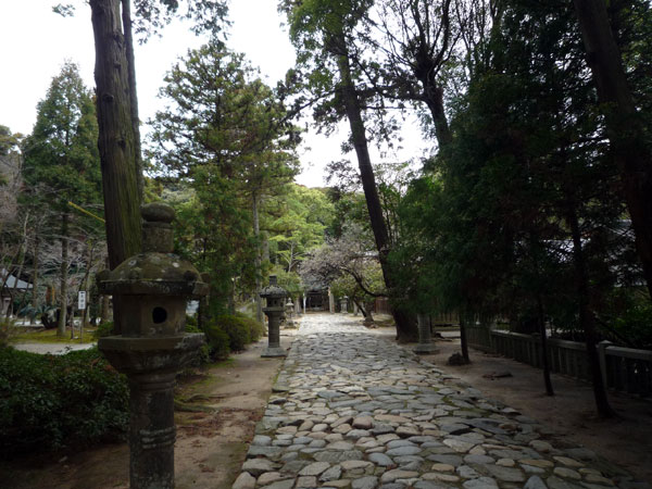 桜井神社の参道　石畳
